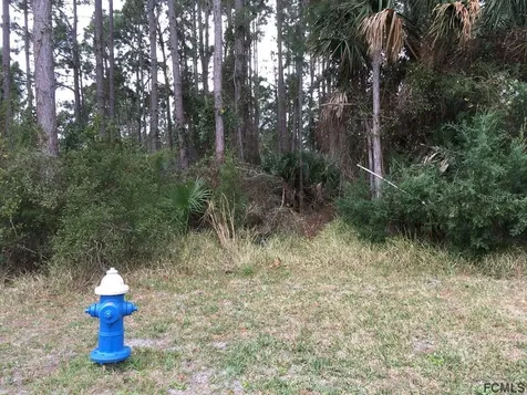 177 Birchwood Drive Palm Coast FL 32137