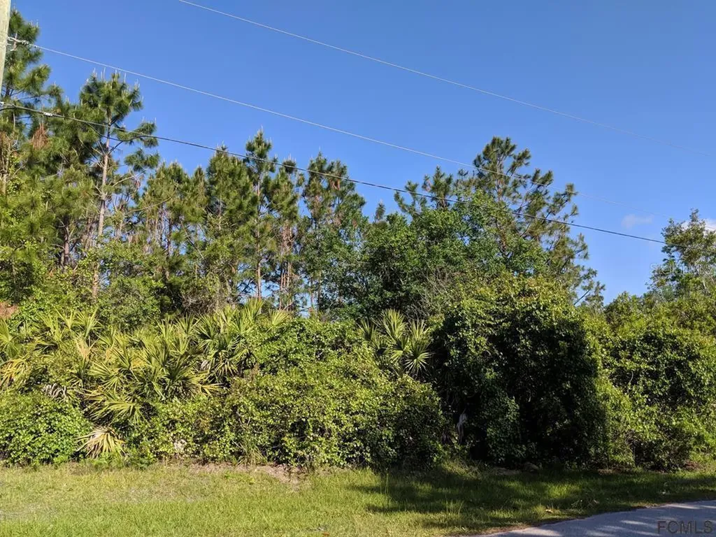 62 Undershire Path Palm Coast FL 32164