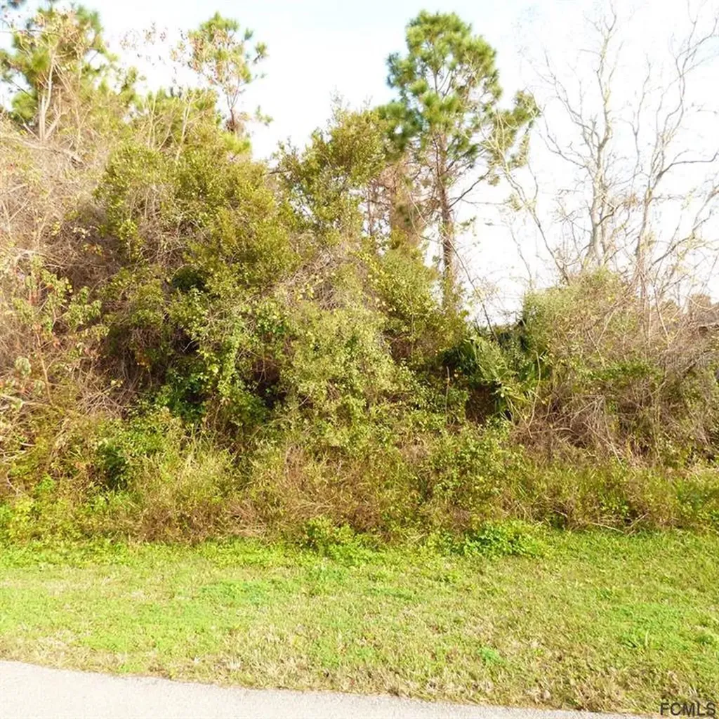22 Bickwick Lane Palm Coast FL 32137