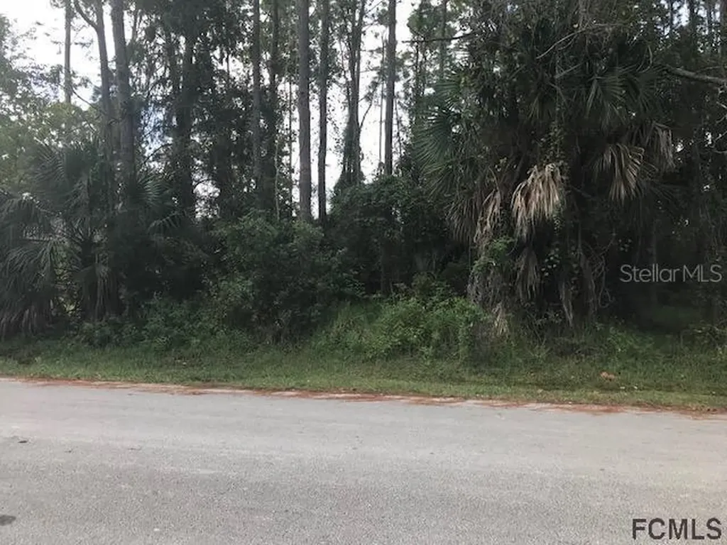 50 Birchwood Drive Palm Coast FL 32137