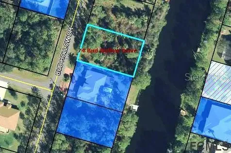 74 Bud Hollow Drive Palm Coast FL 32137