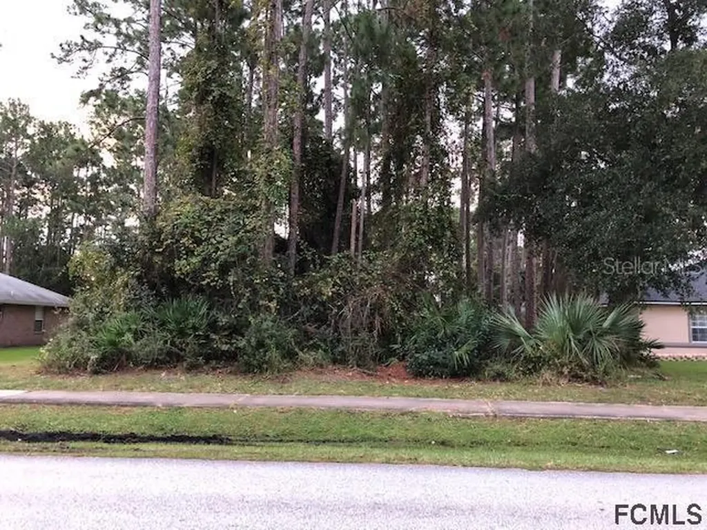 36 Bird Of Paradise Drive Palm Coast FL 32137