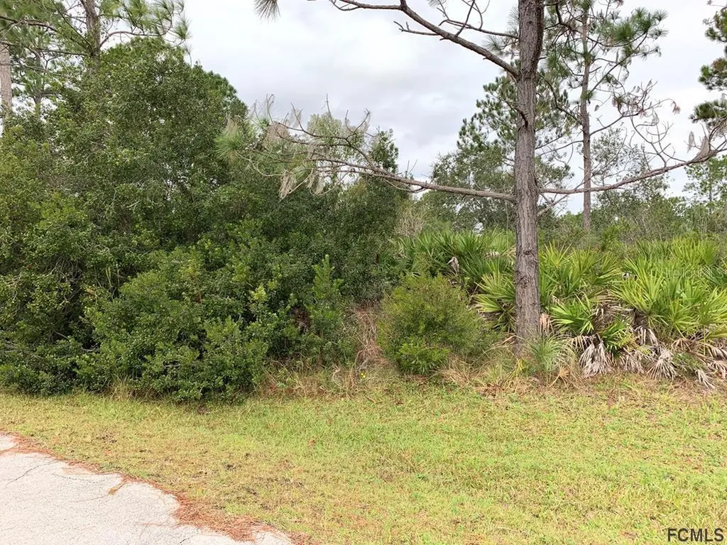 3 Seriema Court Palm Coast FL 32164