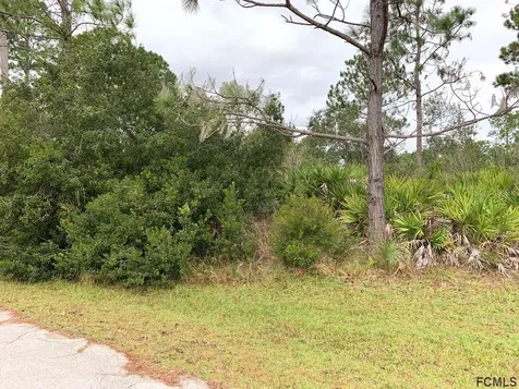 3 Seriema Court Palm Coast FL 32164