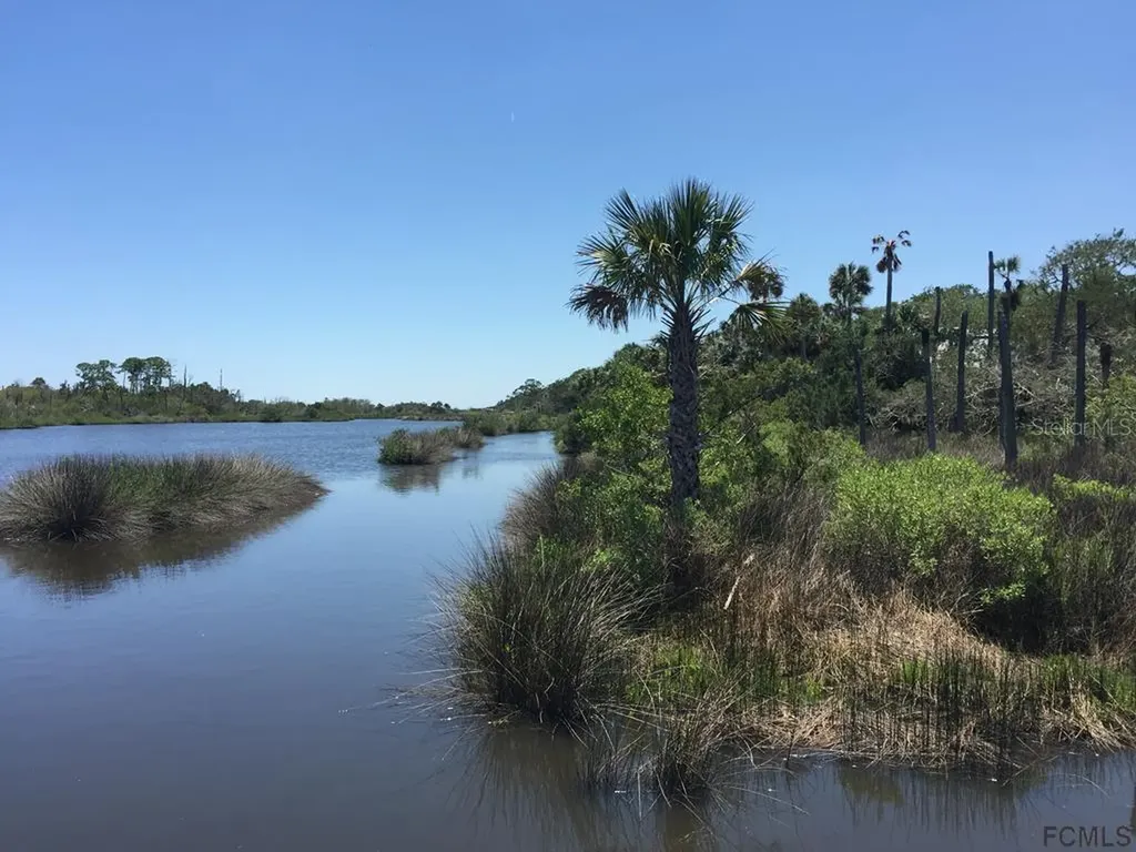 35 Bulow Woods Circle Flagler Beach FL 32136