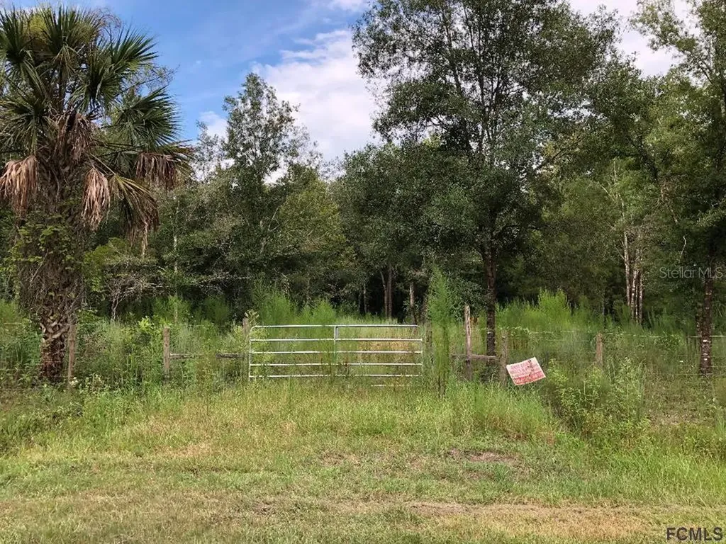 10310 Vaughan Avenue Hastings FL 32145