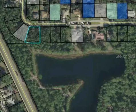 22 Llewellyn Trail Palm Coast FL 32164