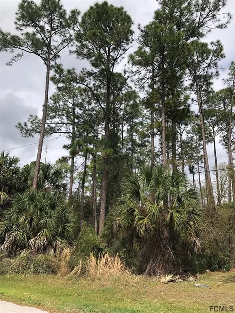 13 Richfield Lane Palm Coast FL 32164