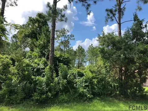 35 White House Drive Palm Coast FL 32164