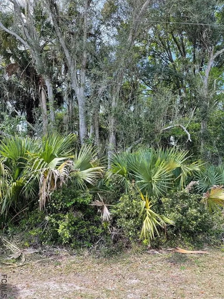 95 Palmwood Drive Palm Coast FL 32164