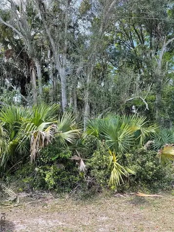 95 Palmwood Drive Palm Coast FL 32164