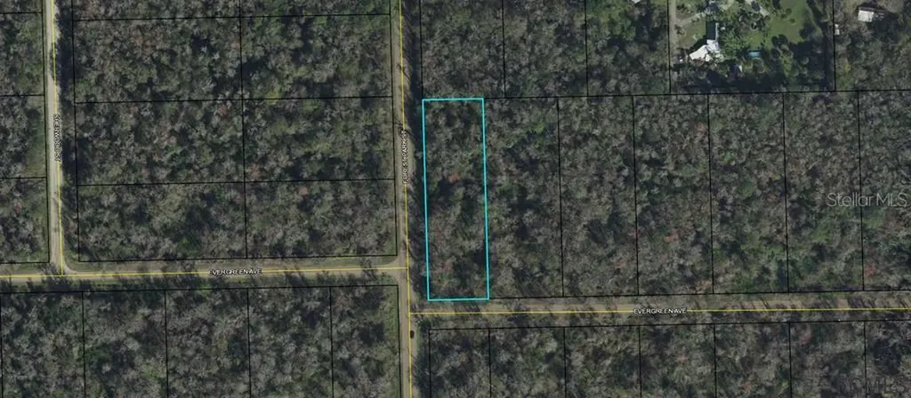 3936 Evergreen Avenue Bunnell FL 32110