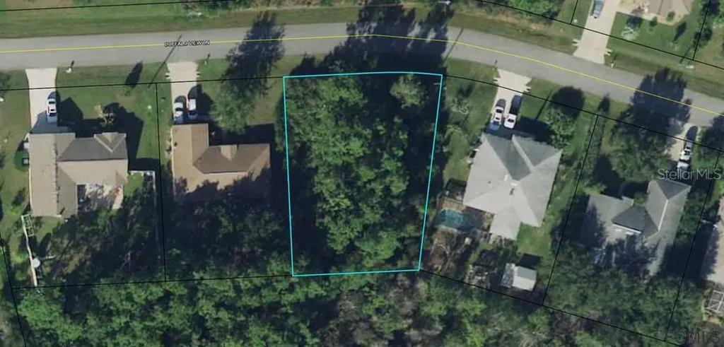 29 Buffalo View Lane Palm Coast FL 32137