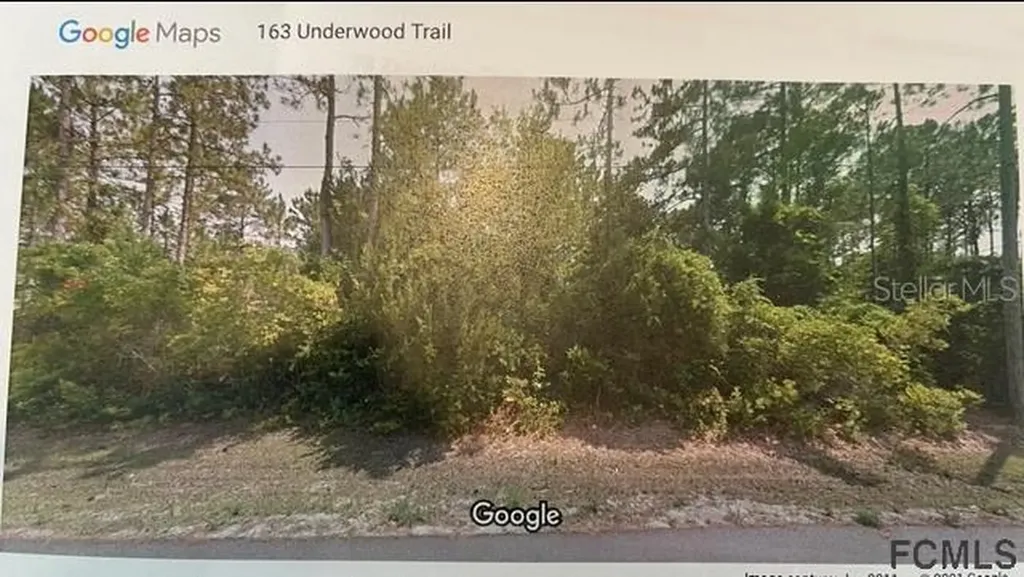 163 Underwood Trail Palm Coast FL 32164