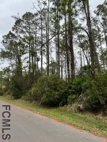 7 Ricker Place Palm Coast FL 32164