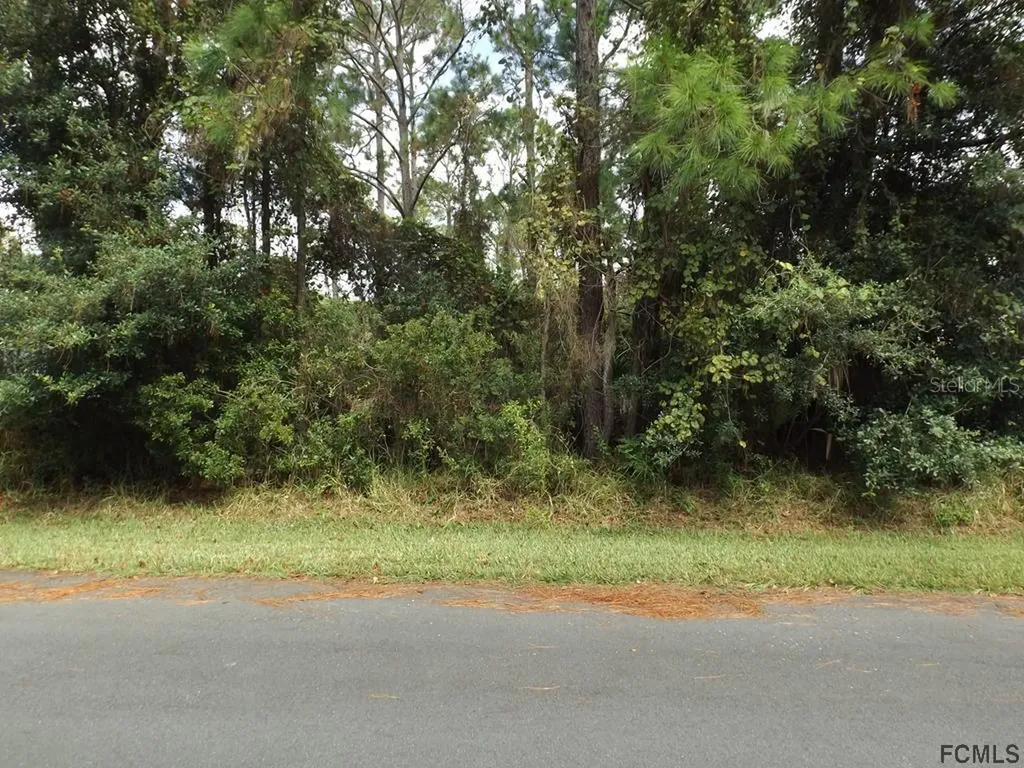 55 Foxhall Lane Palm Coast FL 32137