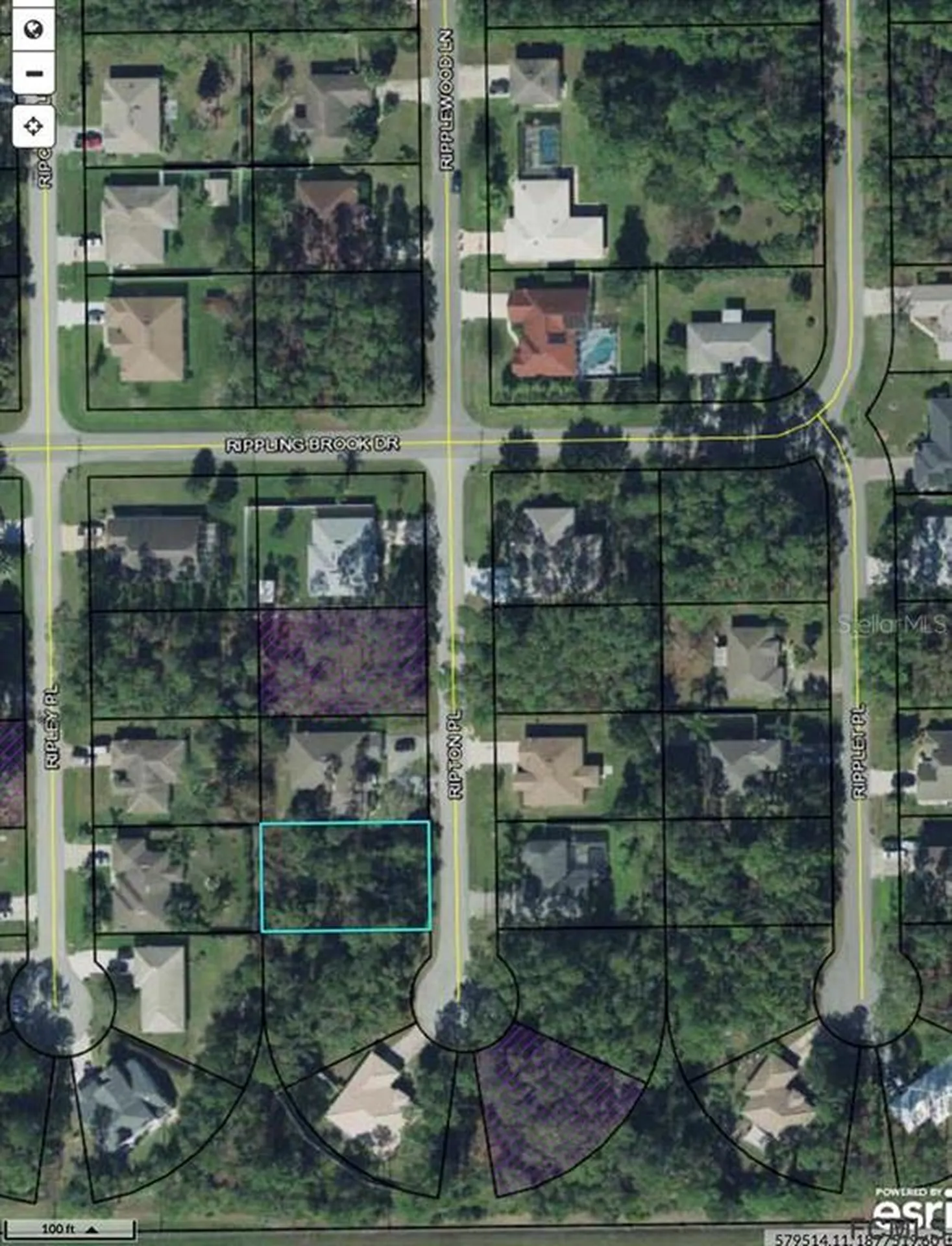 8 Ripton Place Palm Coast FL 32164