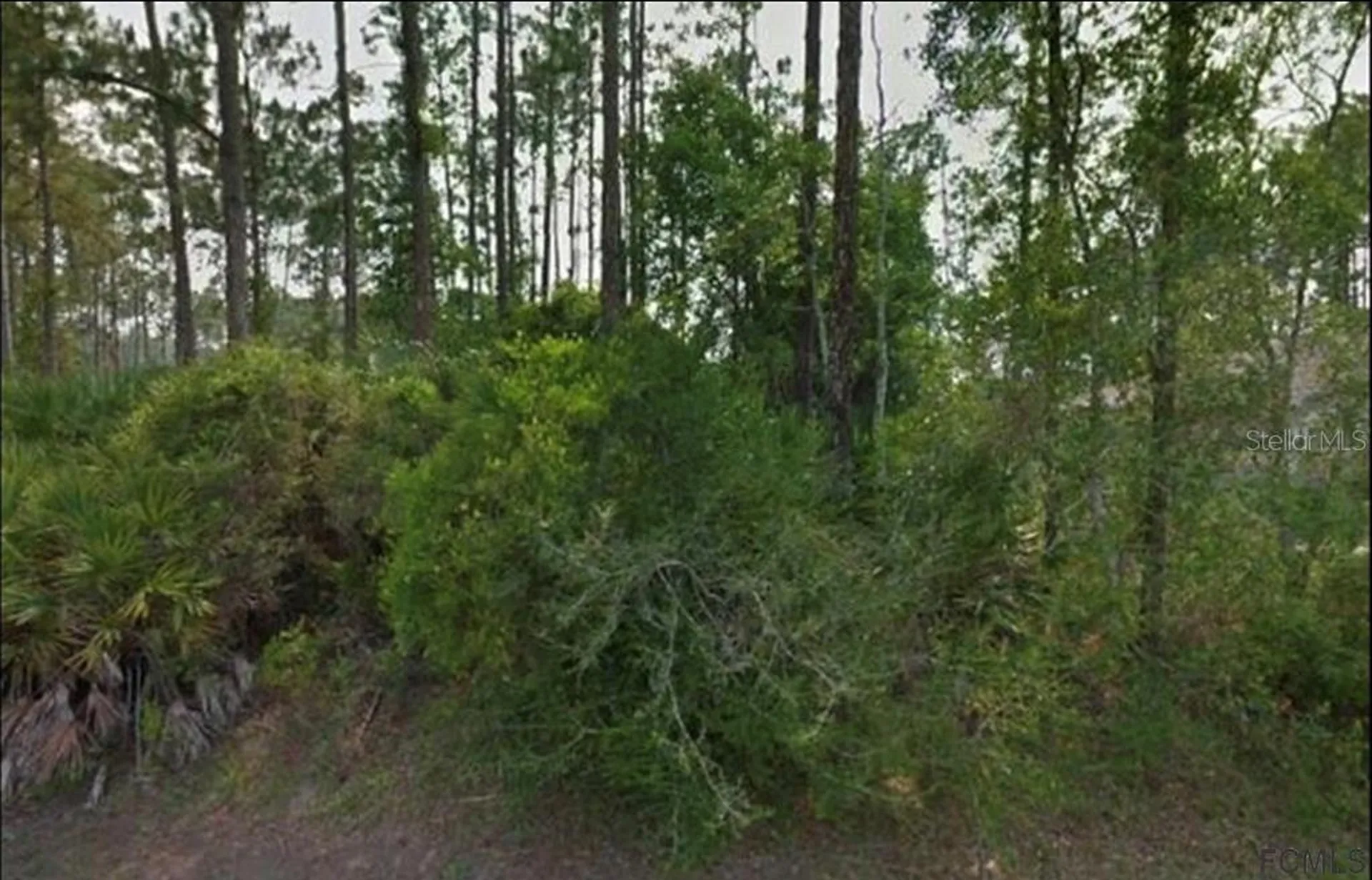 8 Ripton Place Palm Coast FL 32164
