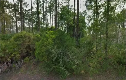 8 Ripton Place Palm Coast FL 32164