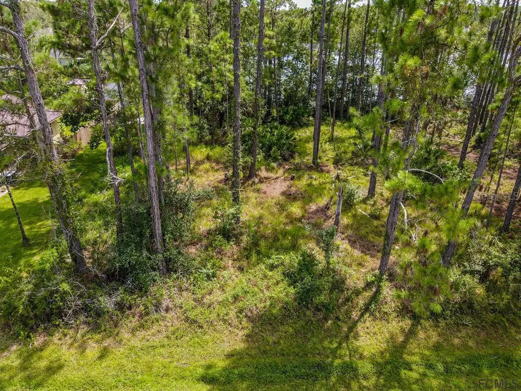 38 Kashmir Trail Palm Coast FL 32164