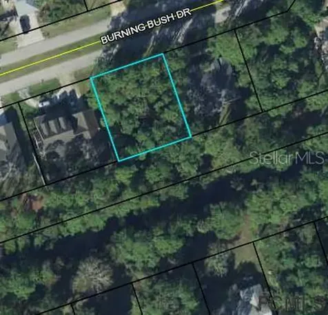38 Burning Bush Drive Palm Coast FL 32137