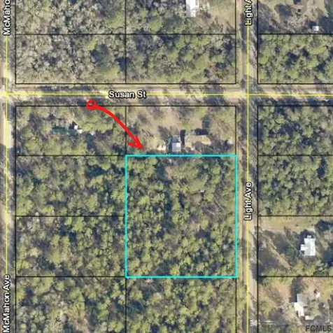 10225 Light Avenue Hastings FL 32145