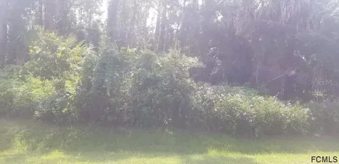 35 Primrose Lane Palm Coast FL 32164