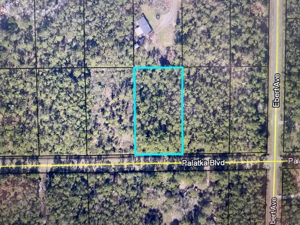 4220 Palatka Boulevard Hastings FL 32145