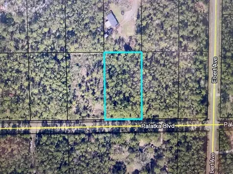 4220 Palatka Boulevard Hastings FL 32145