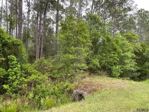 4220 Palatka Boulevard Hastings FL 32145