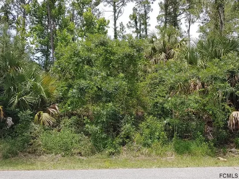 19 Round Thorn Drive Palm Coast FL 32164