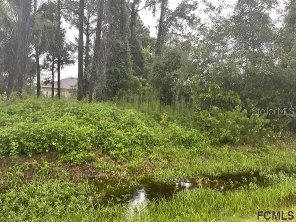 39 Wood Cedar Drive Palm Coast FL 32164