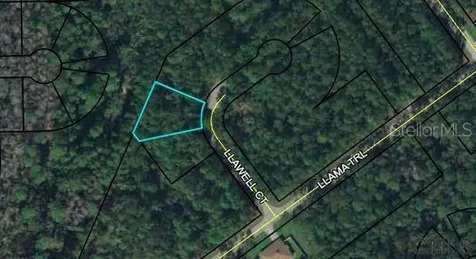 7 Llawell Court Palm Coast FL 32164