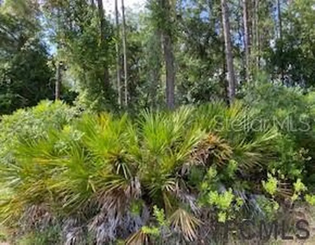 91 Raemoor Drive Palm Coast FL 32164