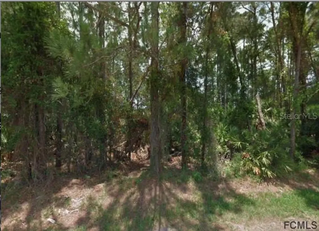 70 Forrester Place Palm Coast FL 32137