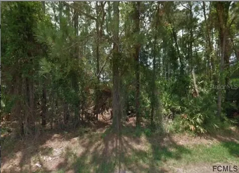 70 Forrester Place Palm Coast FL 32137