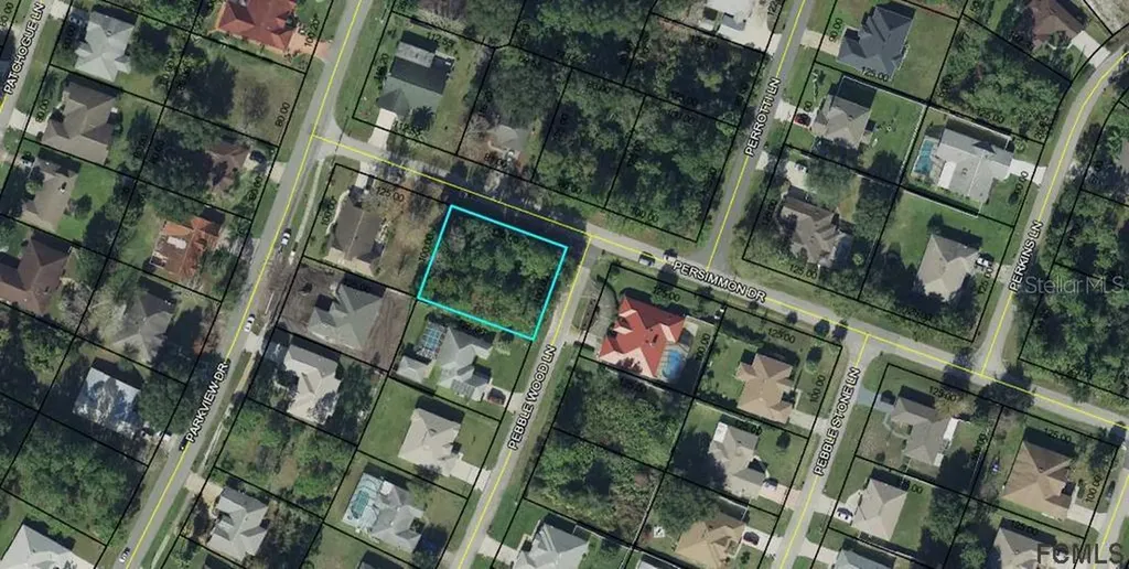 53 Pebble Wood Lane Palm Coast FL 32164