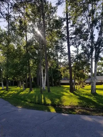 6 Edgely Place Palm Coast FL 32164