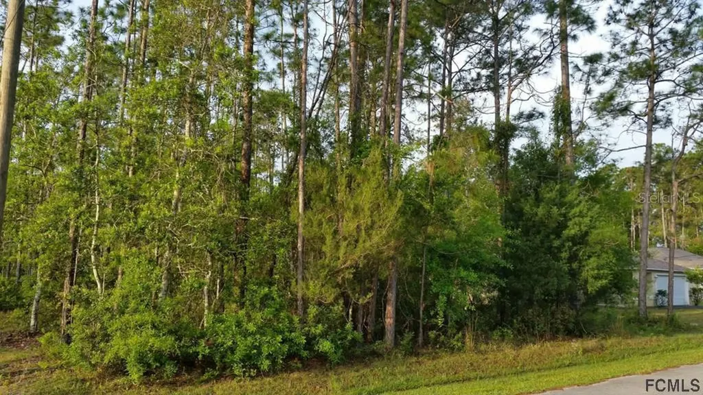 26 Raemond Lane Palm Coast FL 32164