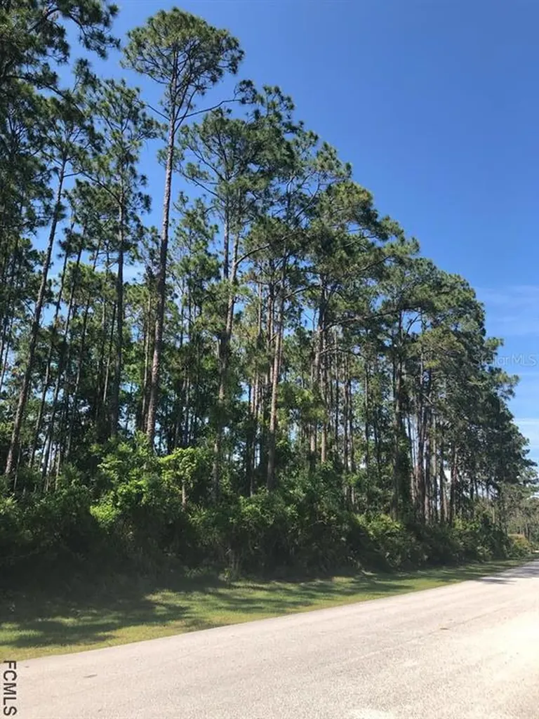19 Wellwater Drive Palm Coast FL 32164