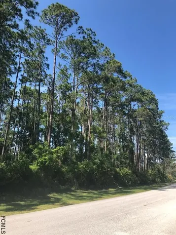 19 Wellwater Drive Palm Coast FL 32164