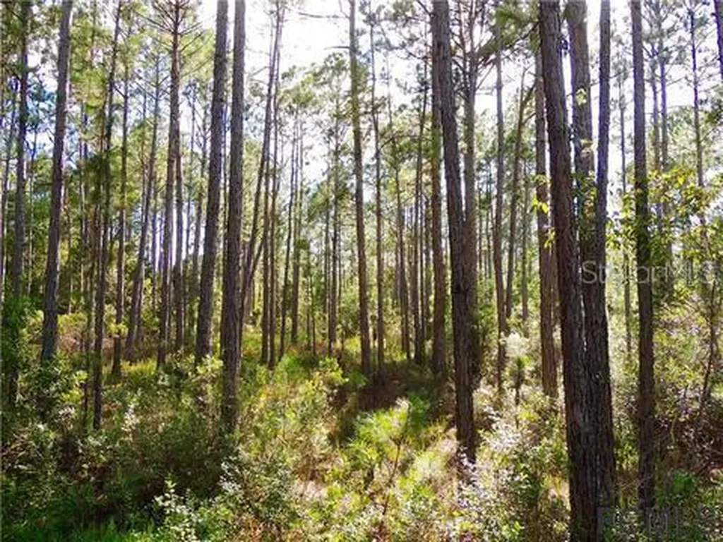104 Pine Grove Drive Palm Coast FL 32164