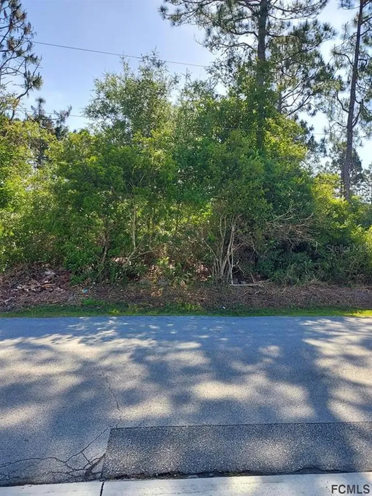 40 Woodborn Lane Palm Coast FL 32164