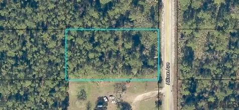 10685 Allison Avenue Hastings FL 32145
