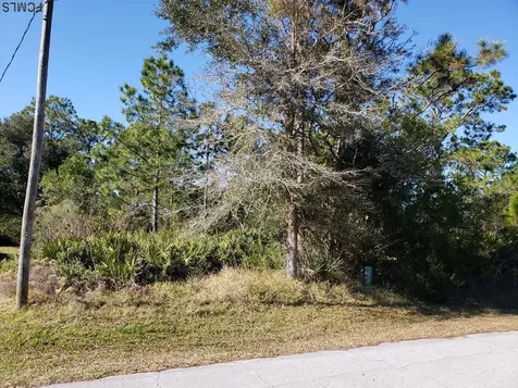 15 Prince Kaarel Lane Palm Coast FL 32164