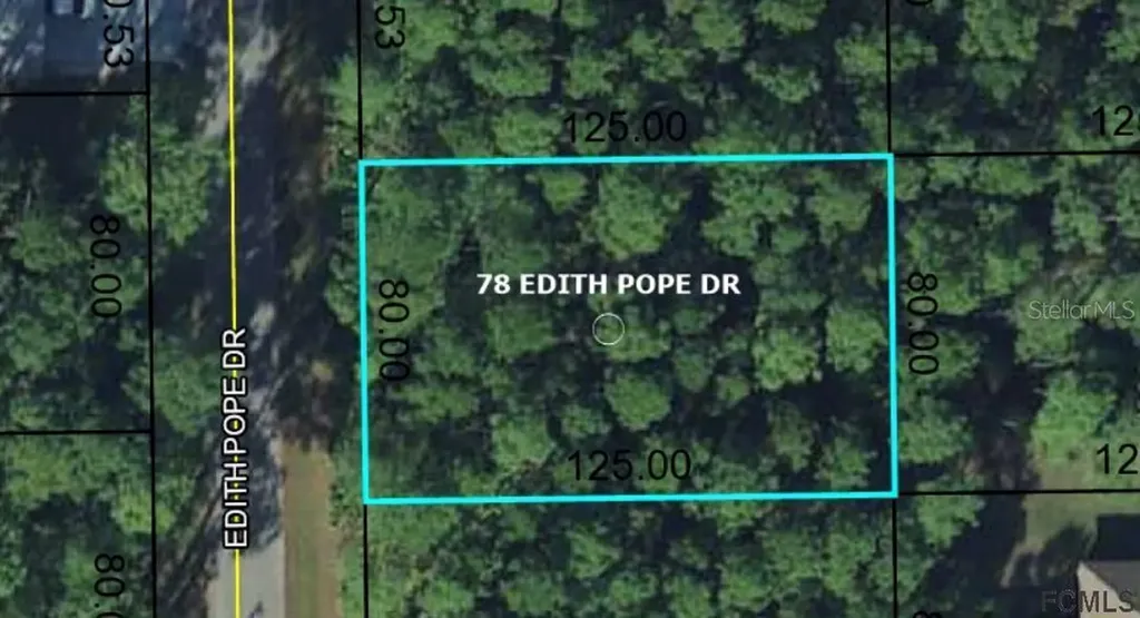 78 Edith Pope Drive Palm Coast FL 32164