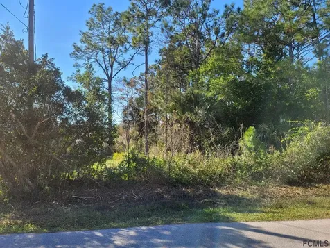109 Smith Trail Palm Coast FL 32164