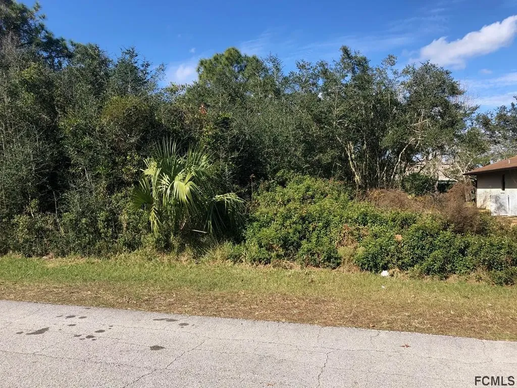 42 Firethorn Lane Palm Coast FL 32137