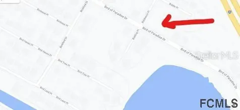 208 Bird Of Paradise Drive Palm Coast FL 32137