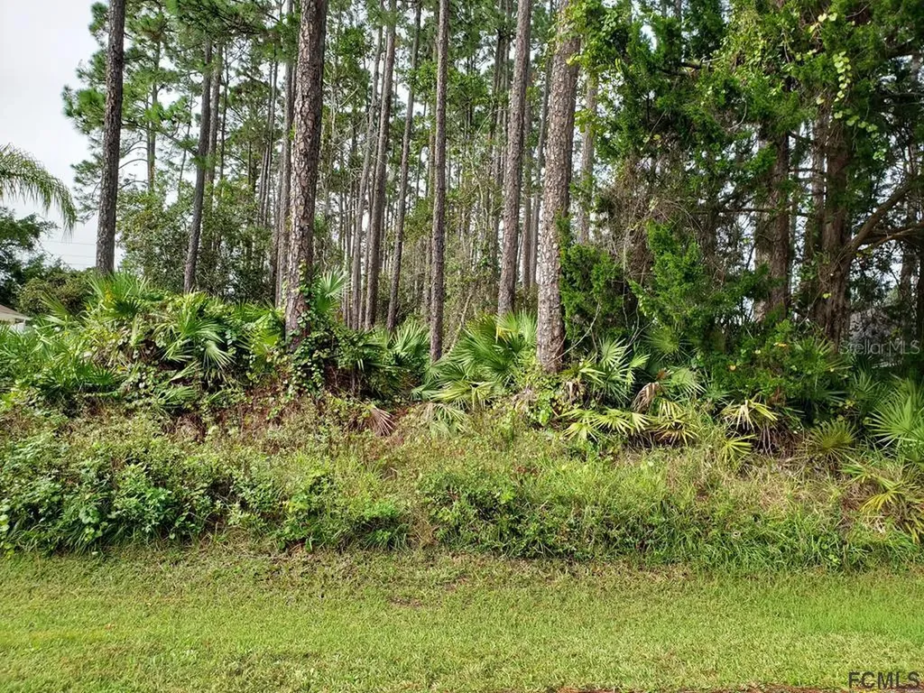 6 Ripley Place Palm Coast FL 32164